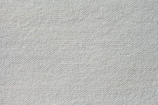 Can You Plaster Over Cement Board? (Explained)