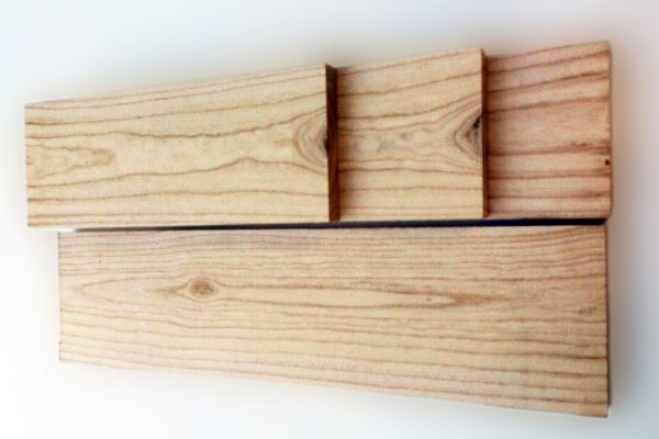 4 Common Paulownia Siding Problems (Explained)