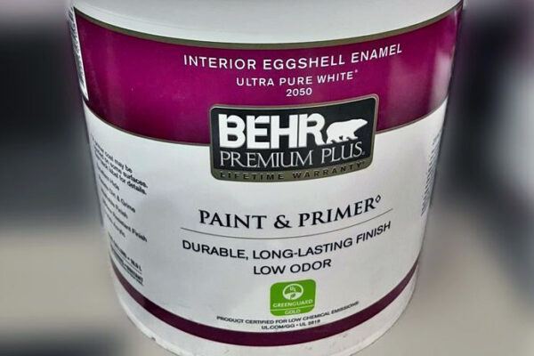 5 Common Eggshell Paint Finish Problems (Explained)