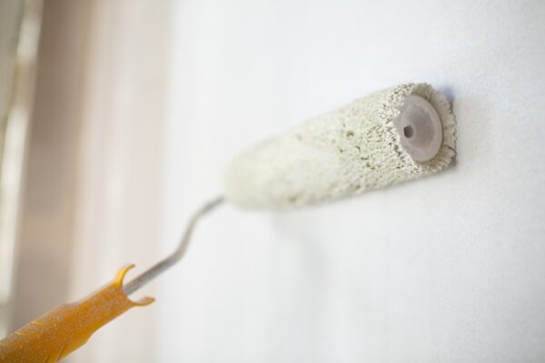 Mud Lines Showing Through Paint (Causes, Solutions & Prevention Tips)